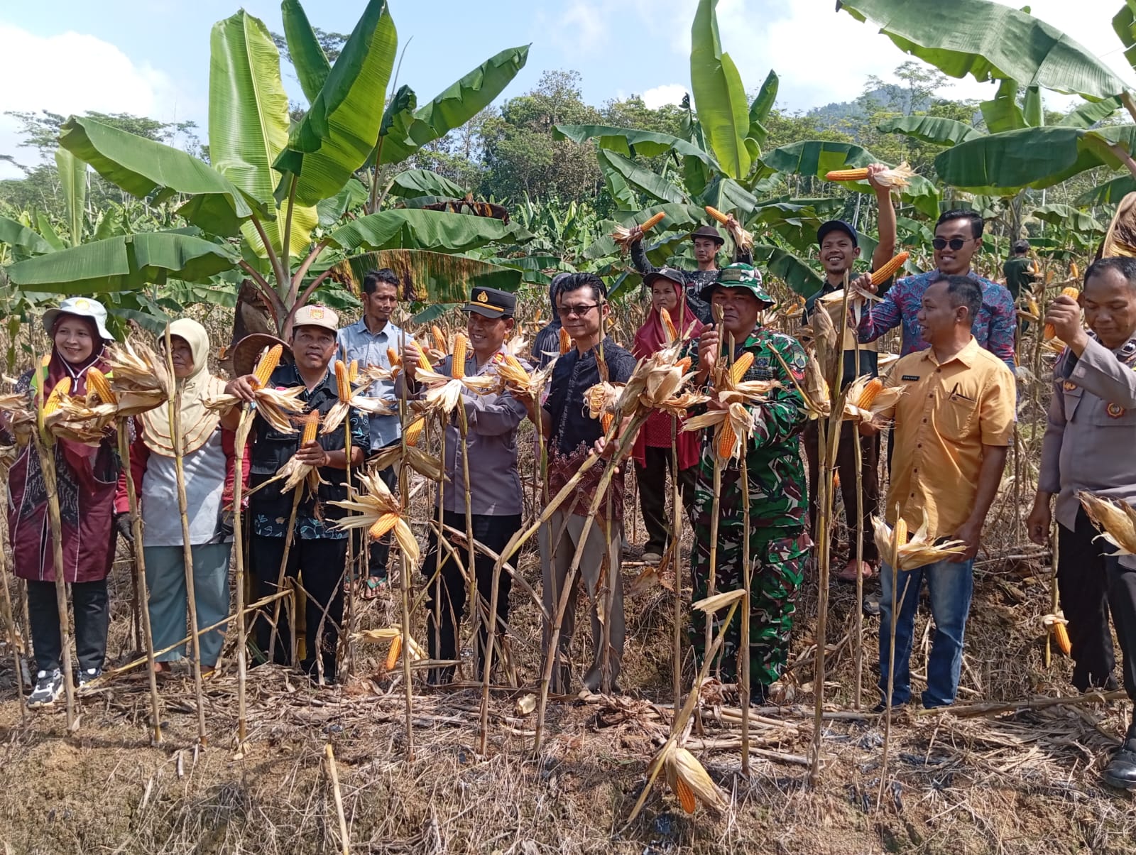panen-jagung-program-ketahanan-pangan-desa-pucungkerep